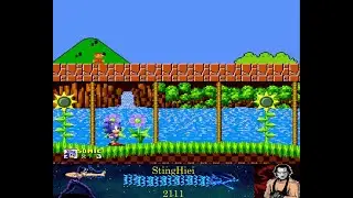 Пробег по некоторым уровням NES игр (пак от 8 марта)