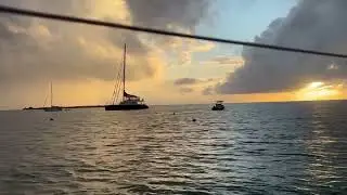Pelicans Feeding in Salina, PR