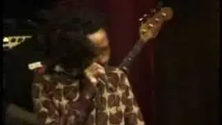 ilawi - Wolves in sheep clothing - reggae splash 08
