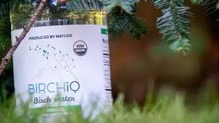 Birch Water...Elixir of life