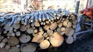 &Scaron;umski ljudi