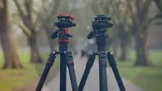 3 Legged Thing Punks Video tripod with AirHed Trinity.