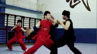 Beijing Wushu Team - 2012 Tour