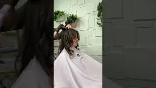 Universal Hair Tool for ALL Lengths