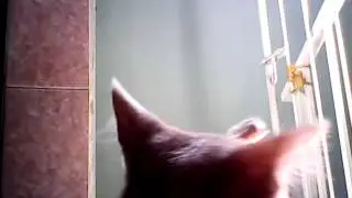 Especial 1000000 suscriptores sin hacer v&iacute;deos