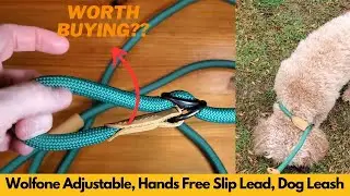 Wolfone Adjustable, Hands Free Slip Lead, Dog Leash Review | Worth Buying?
