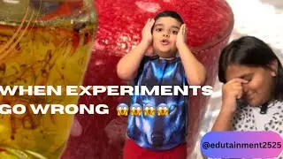 5 water Experiments You Can Do at Home Successfully Compilation by kinglyKinfolks
