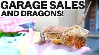 Yard Sale & Thrift Store Haul w/ The College Picker! ...also dragons 🐉 | RALLI ROOTS s2.e5