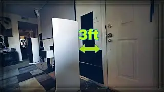 The 