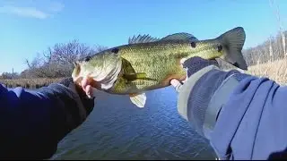 12 Bass in 3 Hours - Busse Lake Illinois