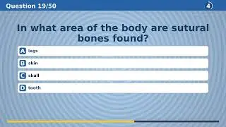 The Ultimate Knowledge Test - 50 Questions