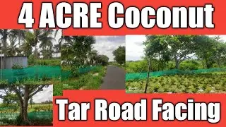 4 Acre Coconut 🌲 Land Sale//subramanya m r // subscribe me //