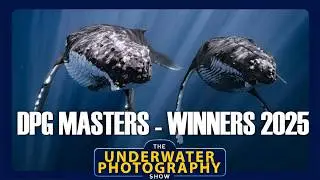 Обзор результатов конкурса DPG Masters 2025