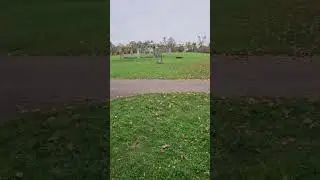 Stutgart Killesberg insallah stutgartı kuşbakışı g&ouml;receğim