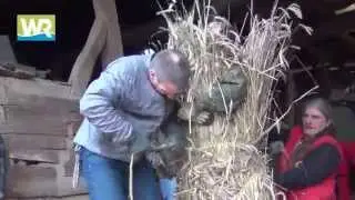 Der Strohbärentag in Heldra