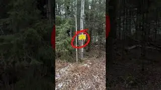 Winter Lake Access