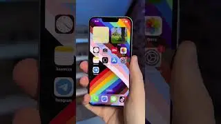 Последний iPhone или последний Android?