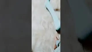 нас обманули правда
