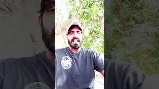 St Lucia Kings vs Guyana Amazon Warriors| CPL 2025 T20 Match Prediction |#shorts #fede