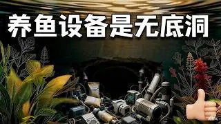 家庭古法養龜養魚，簡單省心少花錢玩好火山石古法生態缸的建議視頻教程