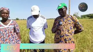 La CARITAS diocésaine de Dakar pour une autosuffisance en riz(Commune de loul sessene). Édition 2025