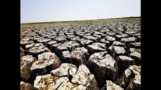 Chennai Water Crisis - A city without water