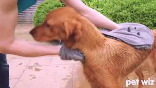 Pet Wiz: Microfibre Noodle/Chenille Towel, Super Absorbent, Quick Drying