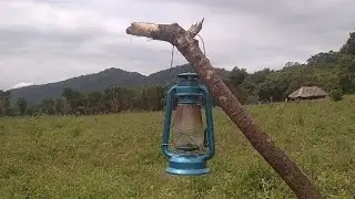 පාල මාමා බලන්න ගියා වාඩ්යට🌾🌿|🤷‍♂️#vadiya 
