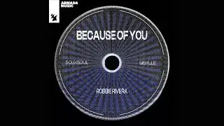 Souxsoul - Because of You - Robbie Rivera Remix