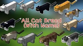 All Cat Breeds Of Minecraft |