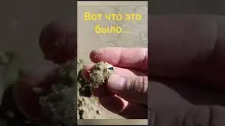 Полное видео уже на канале.#коп2026 #золрто #metaldetecting #noktascore3