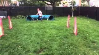 Neo - short wrap sequence from ST foundations class