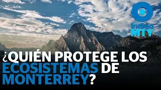 &iquest;Qui&eacute;n protege los ecosistemas de Monterrey? Falta coordinaci&oacute;n | Reporte Indigo