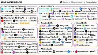 The best way to learn about web3 is joining a [DAO]