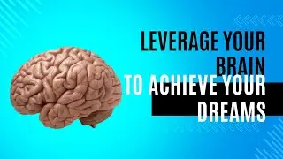 How to set goals and achieve them - the neuroscience of habits and goals