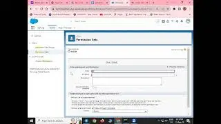 salesforce admin field level security and permission sets and record level security