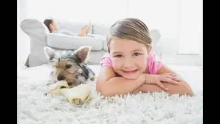 Heavens Best Carpet Cleaning Sarasota, FL