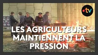 Crise agricole : la mobilisation s'installe dans la dur&eacute;e