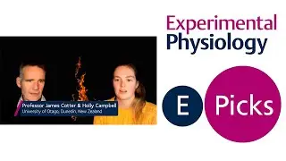EPicks: Acute physiological and psychophysical response to different modes of heat distress