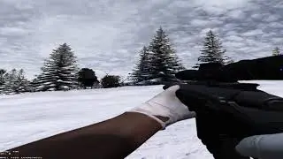 dayz rearmed montage #3