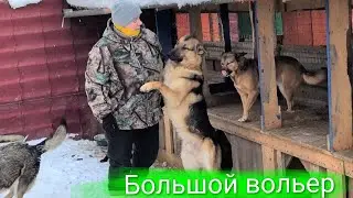 Второй большой вольер 