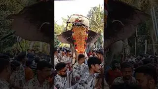 ഒരേ ഒരു രാജൻ -പാമ്പാടി രാജൻ -കിഴൂരിൽ #aana #aanapremi #kerala #എളേഫന്റ് #aanakkaryam #aanakam