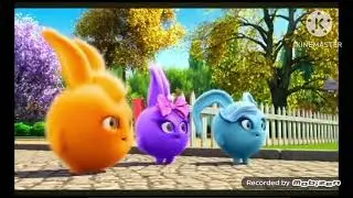 The Haahoos in Sunny Bunnies