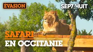 R&eacute;serve de Sigean : un go&ucirc;t d'Afrique ? | Sept &agrave; Huit