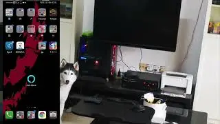Smart home door sensor alarm setup