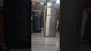 Hitachi Non-Inverter Fridge Problem Solved! PCB + Sensor Change || Fridge No Cooling but Light on