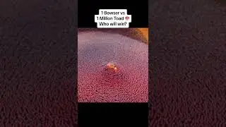 1 million Toads v 1 Bowser