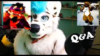Furry Q&A! | Comet