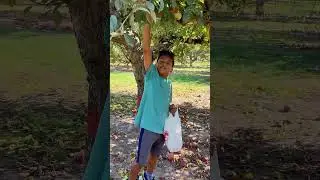 MaxandWin Apple Picking #kids #wisconsin #apple #fall