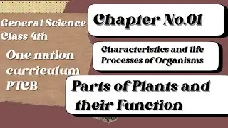 Parts of Plants and their Functions|Root,Stem and Leaves|Chapter No.01|Class 4th|PTCB